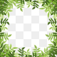 Green leaf png frame sticker, transparent background