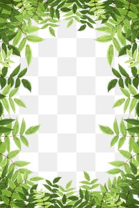 Green leaf png frame sticker, transparent background