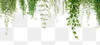 Angel vine png border, transparent background