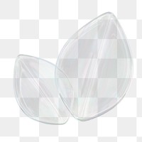 Transparent leaf png, environment icon sticker, 3D rendering