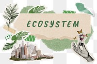 Ecosystem png word sticker typography, environment aesthetic paper collage, transparent background