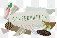 Conservation png word sticker typography, environment aesthetic paper collage, transparent background