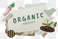 Organic produce png word sticker typography, environment aesthetic paper collage, transparent background