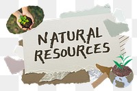 Natural resources png word sticker typography, environment aesthetic paper collage, transparent background
