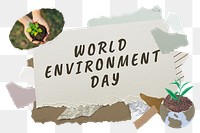 World Environment Day png word sticker typography, green aesthetic paper collage, transparent background