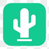 Cactus png sticker, flat square icon, transparent background