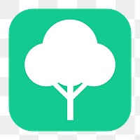 Tree, environment png sticker, flat square icon, transparent background