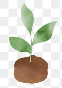 Growing tree png sticker, environment on transparent background