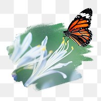 Monarch butterfly png sticker, animal, transparent background