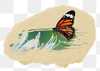 Monarch butterfly png sticker, ripped paper, transparent background