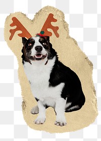 Dog png wearing reindeer antlers sticker, ripped paper, transparent background