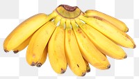 Banana png sticker, fruit cut out, transparent background