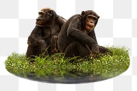 Chimpanzee monkey png sticker, animal, transparent background