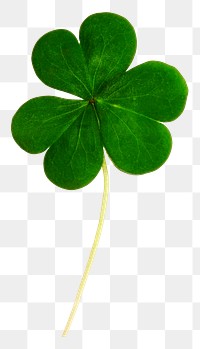 Clover leaf png sticker, Saint Patrick's Day transparent background