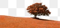 Autumn nature png border, transparent background