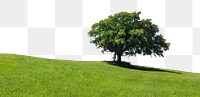 Green tree hill png border, transparent background