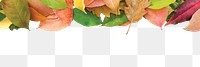 Autumn leaves png border, transparent background