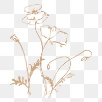 Aesthetic flower png sticker, line art, transparent background