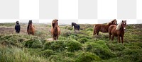 Horse ranch png border, transparent background