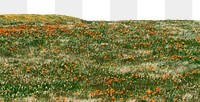 Flower meadow png border, transparent background