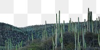 Cactus landscape png border, transparent background