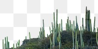 Cactus landscape png border, transparent background