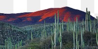 Cactus landscape png border, transparent background