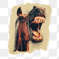 Mad horse png sticker, ripped paper, transparent background