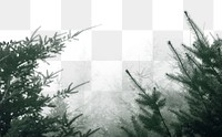 Misty conifer png border sticker, nature on transparent background