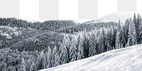 Winter forest png border, transparent background