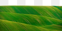 Hill png border sticker, nature on transparent background