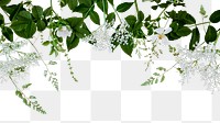 Botanical png border, green leaf, transparent background