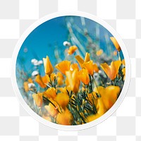 Yellow tulip png field sticker, Spring season circle frame, transparent background