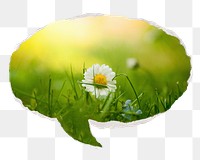 White daisy png Spring flower sticker, ripped paper speech bubble, transparent background