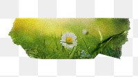 White daisy png Spring flower sticker, washi tape, transparent background