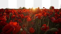 Png red poppies sunset border sticker, nature on transparent background