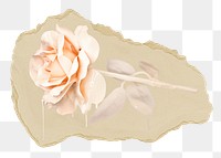 Melting rose png flower ripped paper sticker, Valentine's graphic, transparent background