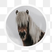 Horse portrait png sticker, animal in circle frame, transparent background