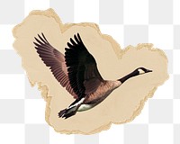 Flying goose png sticker, ripped paper, transparent background