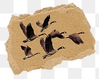 Flying geese png sticker, ripped paper, transparent background