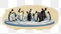 Penguins png sticker, ripped paper, transparent background