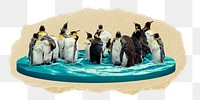 Penguins png sticker, ripped paper, transparent background