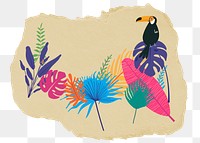 Exotic bird png sticker, ripped paper, transparent background