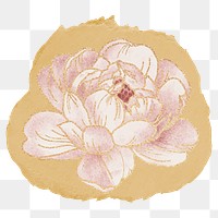 Aesthetic peony png flower sticker, ripped paper on transparent background
