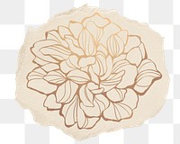 Gold outlined flower png sticker, ripped paper on transparent background