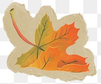 Autumn leaf png sticker, ripped paper, transparent background