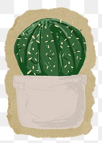 Cactus houseplant png sticker, ripped paper, transparent background