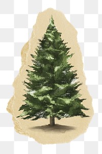 Christmas tree png sticker, ripped paper, transparent background