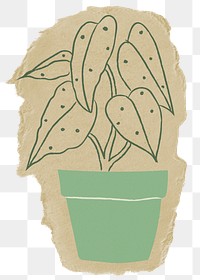 Aesthetic houseplant png sticker, ripped paper, transparent background