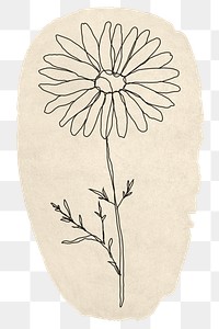 Flower line art png sticker, ripped paper, transparent background